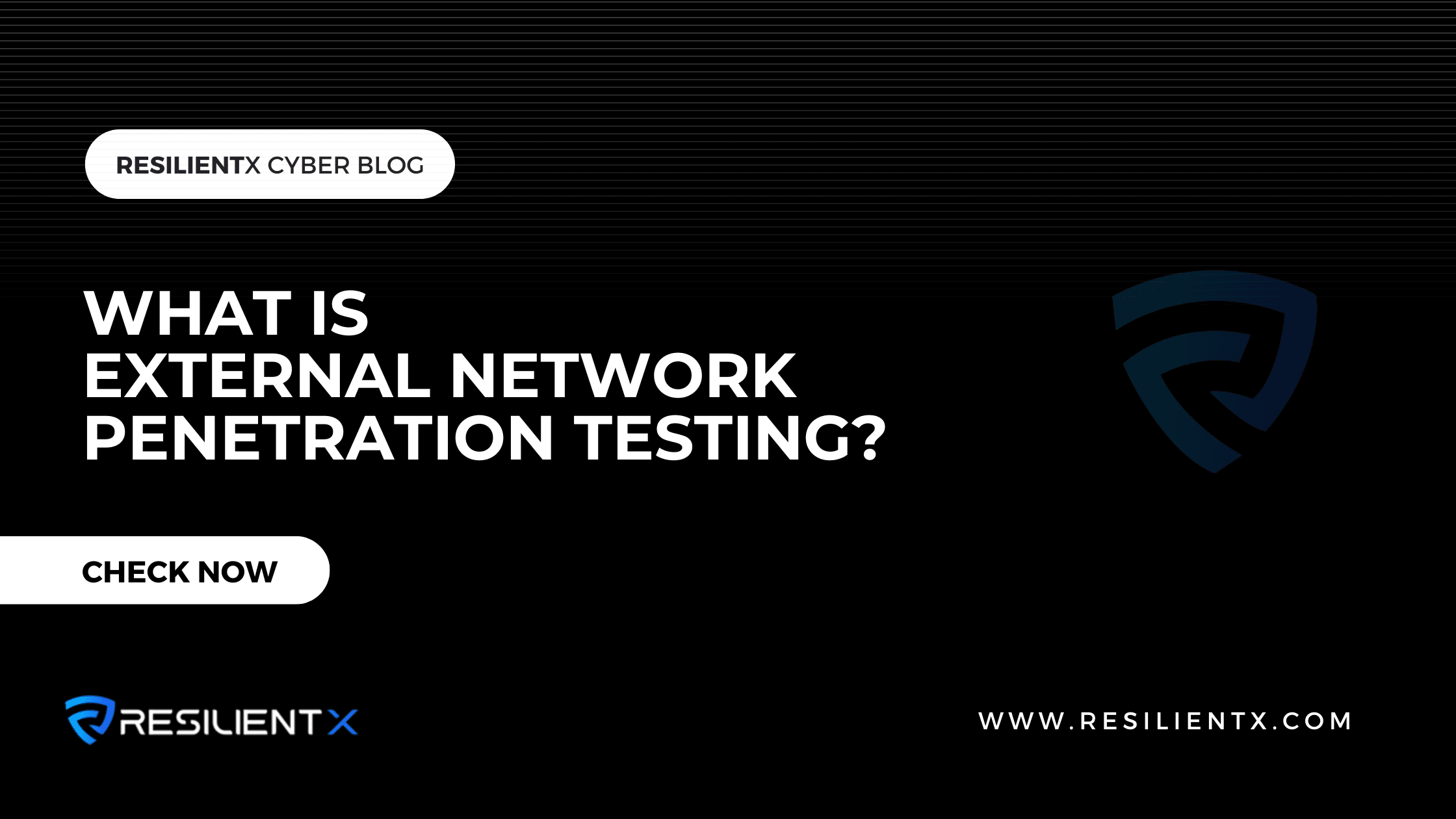 Che cos'è l'External Network Penetration Testing?