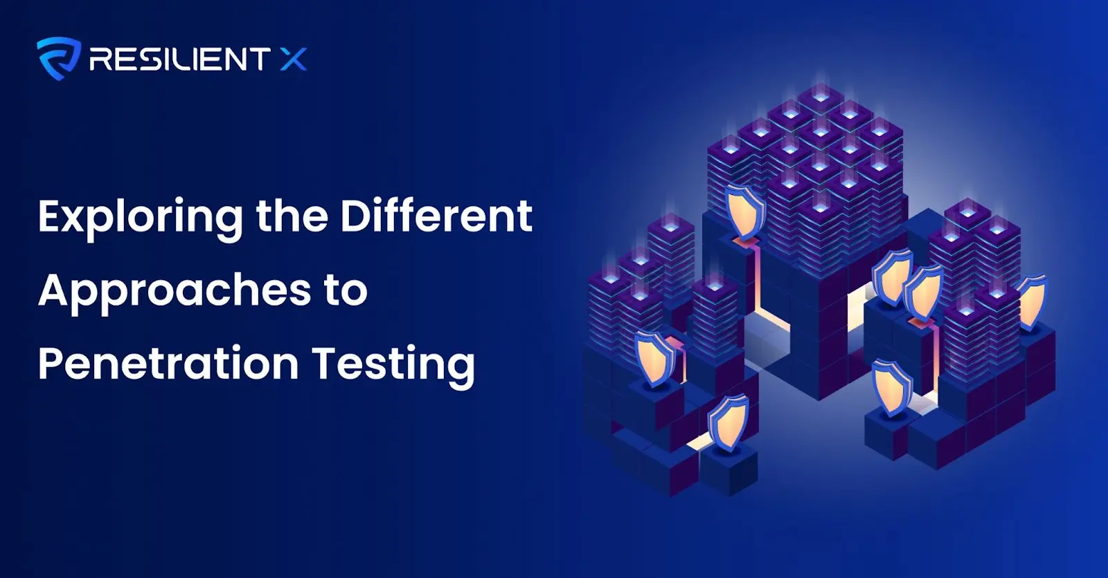 Exploring the Different Approaches to Penetration Testing